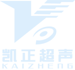 中國地方人力資源服務(wù)產(chǎn)業(yè)聯(lián)盟